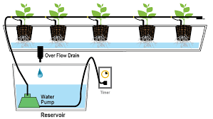 Drip Irrigation System